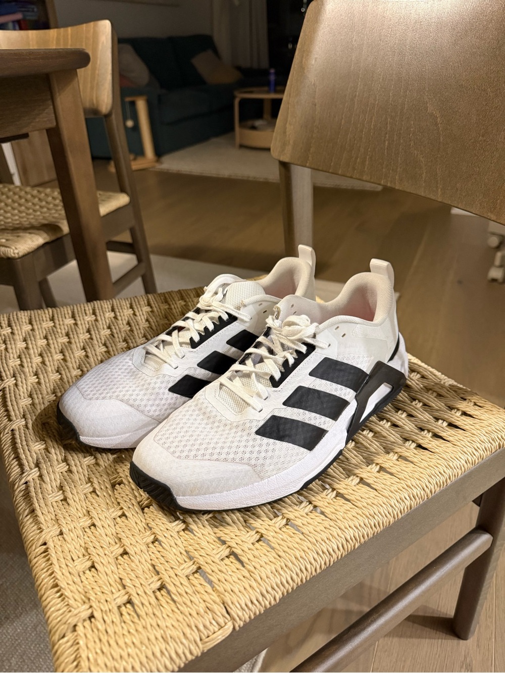 adidas Men's White and Black Mesh Running Sneakers